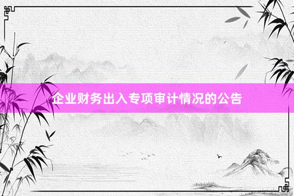 企业财务出入专项审计情况的公告