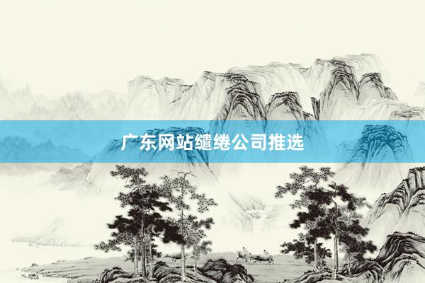 广东网站缱绻公司推选