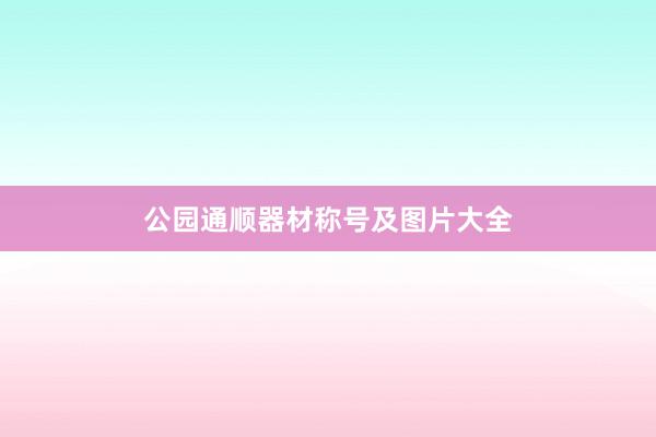 公园通顺器材称号及图片大全